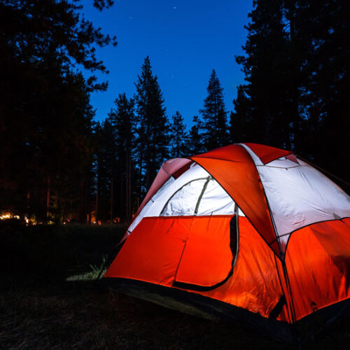 Wilderness Survival Skills: Camp Alarms